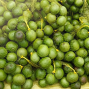 Umbu Gigante 2,5Kg